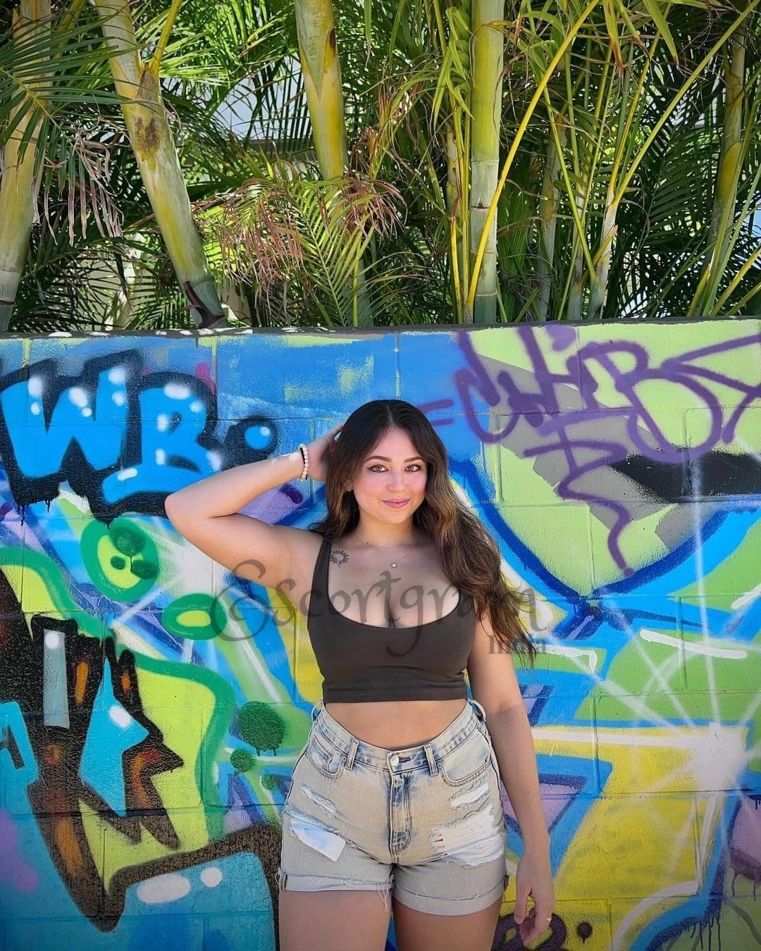 Call Girl Delhi Himani