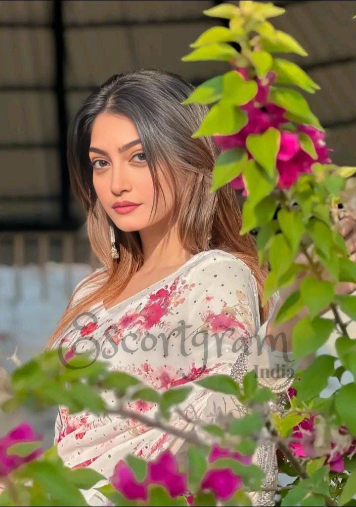 Call Girl Delhi Park Hotel Escort